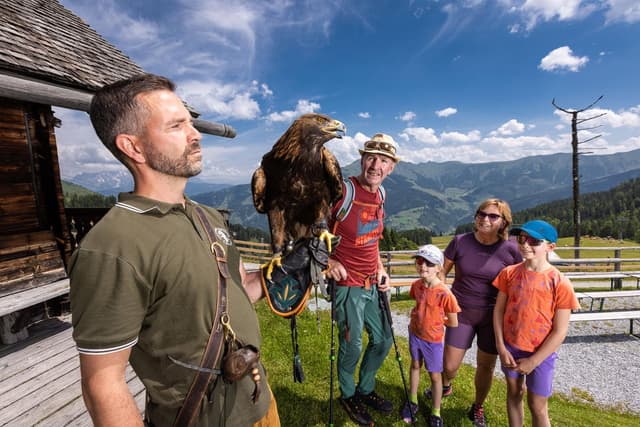 Greifvogelschau Hochalm