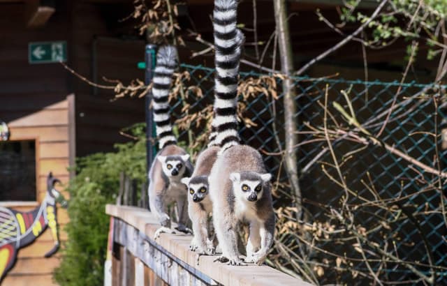 Zoo Salzburg Hellbrunn