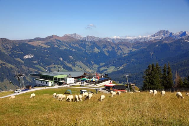 A picturesque mountain landscape with gentle hills and snow-covered peaks. Sheep graze on a green meadow in the foreground, while a mountain station is visible in the background.