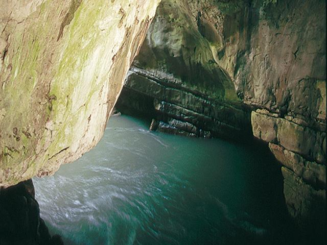 A hidden cave with clear waters and rugged rocks. Greenish algae adorn the walls of the cave.
